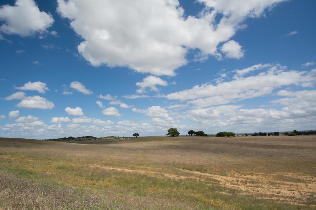 Dias Distintos - Turismo Rural Colos  エクステリア 写真